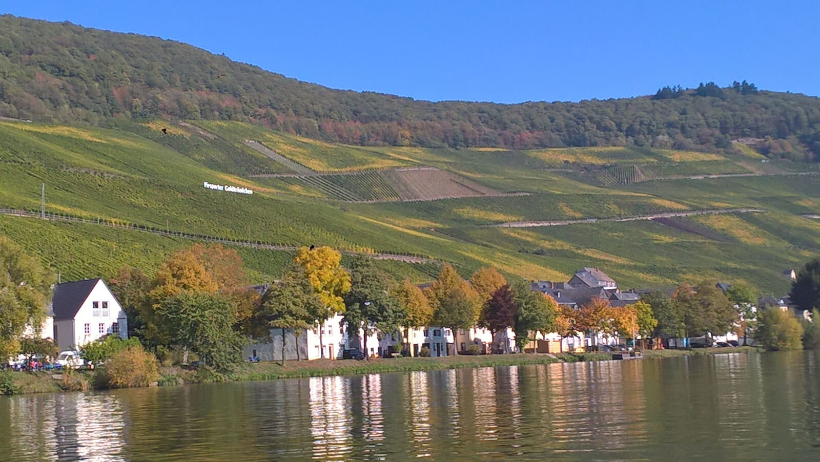 Die Mosel bei Piesport